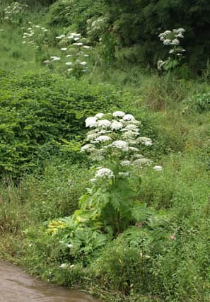 The River Ury, the Don’s main tributary, has been of particular concern.