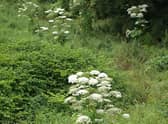 The River Ury, the Don’s main tributary, has been of particular concern.