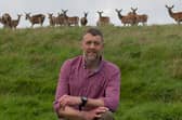 Donald Barrie manages the James Hutton Institute’s Glensaugh Research Farm