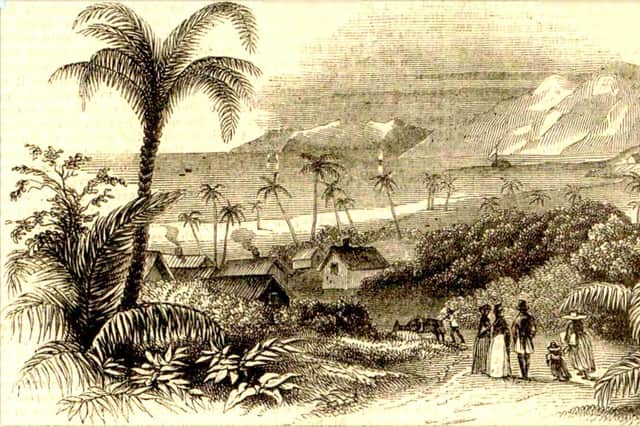 The links between Jacobite supporting families the the slave trade has been explored by historian Dr David Alston, who has thrown light on the Cuming family from near Elgin, who rebuilt their forturne in Demerara, now Guyana, on the north coast of South America following Culloden. PIC: Creative Commons.