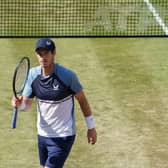 Andy Murray will be in action at Wimbledon next week.