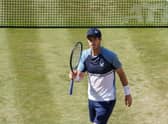 Andy Murray will be in action at Wimbledon next week.
