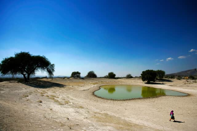 Many of the world's poorest countries are experiencing the most severe impacts of climate change, including droughts, flooding and wildfires. Picture: Brent Stirton/Getty Images