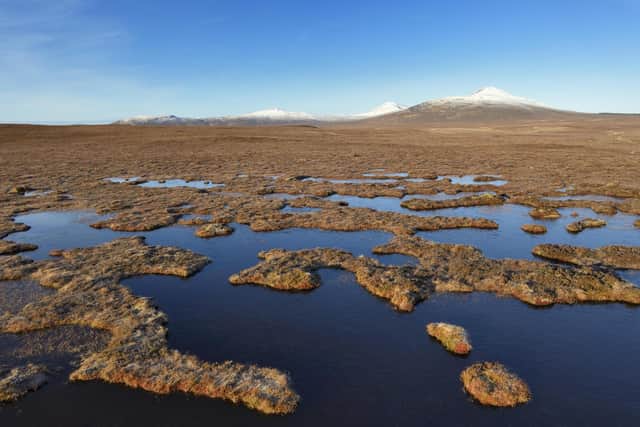 The UK government is aiming to submit a bid to Unesco later this year that could see Scotland's Flow Country become a World Heritage Site -- the first peatland to achieve the accolade