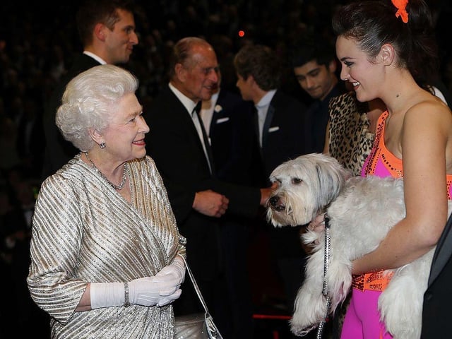 Susan was also special as she became the first in the line of dogs known as 'the royal corgis'. It's believed that this line lasted somewhere between an impressive 10–14 generations of dogs.