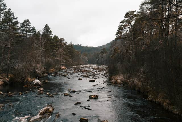 Glen Affric