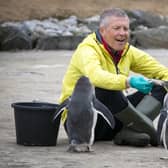 Scottish Liberal Democrat leader Willie Rennie feeds the Gentoo penguins during a visit to Edinburgh Zoo. Picture: Jane Barlow/PA Wire