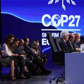 Egypt's Foreign Minister Sameh Shukri, heads the closing session of the COP27 climate conference