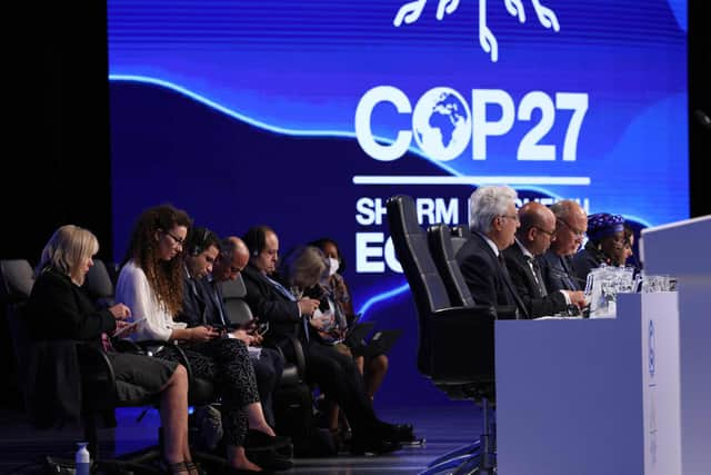 Egypt's Foreign Minister Sameh Shukri, heads the closing session of the COP27 climate conference