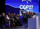 Egypt's Foreign Minister Sameh Shukri, heads the closing session of the COP27 climate conference