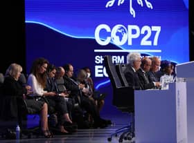 Egypt's Foreign Minister Sameh Shukri, heads the closing session of the COP27 climate conference