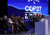 Egypt's Foreign Minister Sameh Shukri, heads the closing session of the COP27 climate conference