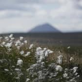Bog cotton grows on the vast blanket bog during certain times of the year making parts of it turn white