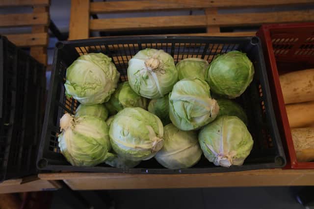 An innocent crate of cabbages or a consignment of illegal narcotics? (Picture: Scott Olson/Getty Images)