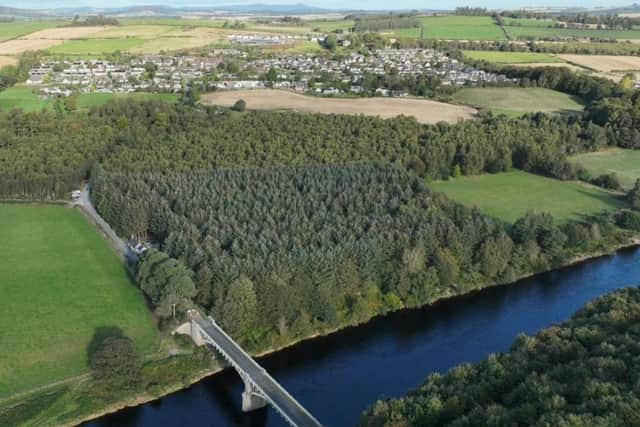 Also on the market is the Drum Estate Woodlands, a diverse portfolio of 14 woodlands extending to 400 acres near Banchory (pic: Goldcrest Land & Forestry Group)