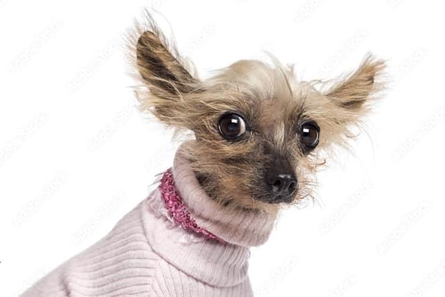Mum's the Word. What's wrong with turtle/polo necks? Pic: Adobe Stock
