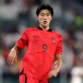 Celtic target Cho Gue-Sung in action for South Korea during the World Cup in Qatar. (Photo by Dean Mouhtaropoulos/Getty Images)