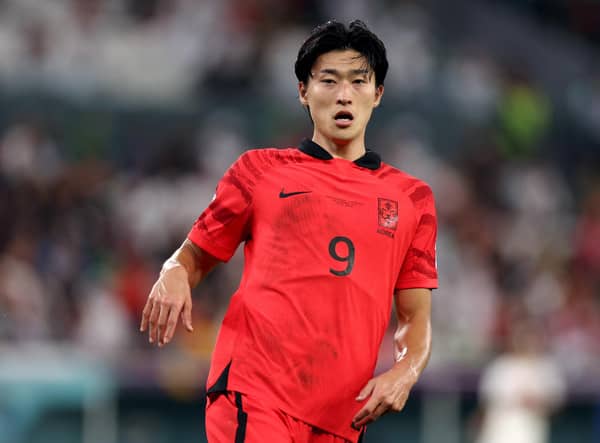 Celtic target Cho Gue-Sung in action for South Korea during the World Cup in Qatar. (Photo by Dean Mouhtaropoulos/Getty Images)