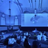 Work by the artist Zadie Xa featured in a previous edition of the 'Art Night' festival when it was staged in Walthamstow, in London. Picture: Matt Rowe
