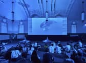 Work by the artist Zadie Xa featured in a previous edition of the 'Art Night' festival when it was staged in Walthamstow, in London. Picture: Matt Rowe