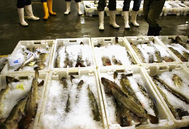 The legal fishing industry needs to be protected against competition from vessels that break the law (Picture: Jeff J Mitchell/Getty Images)