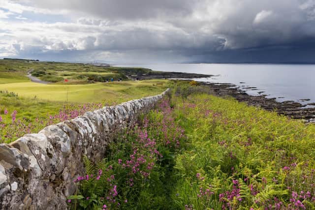 Former farmland in Scotland's home of golf is being transformed into a haven for nature as part of an ambitious rewilding project near St Andrews, on the Fife coast