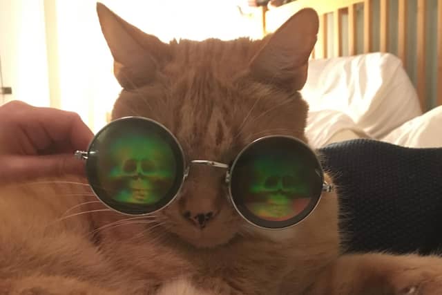 This Halloween, make your own fun with whatever's lying around the house