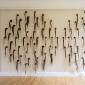 In Relation to Linum by Christine Borland at Inverleith House. Royal Botanic Garden Edinburgh PIC: Keith Hunter Photography