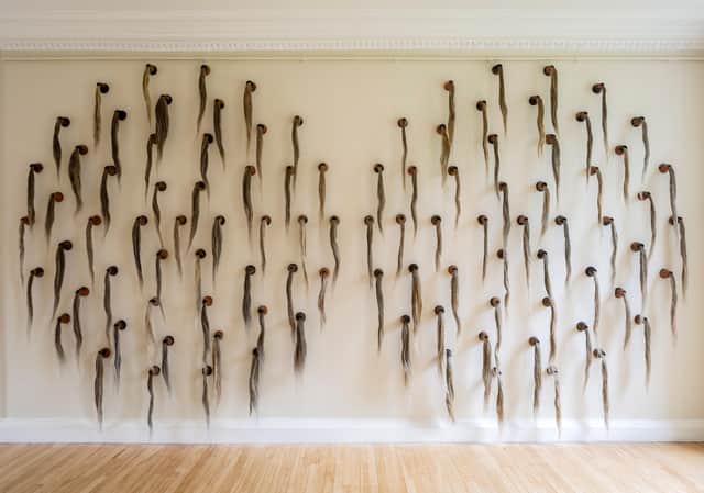 In Relation to Linum by Christine Borland at Inverleith House. Royal Botanic Garden Edinburgh PIC: Keith Hunter Photography