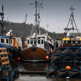 Campaign groups have stepped up pressure on their demands for a rollback on highly protected marine areas ahead of a statement by the Scottish Government today (pic: Jeff J Mitchell)