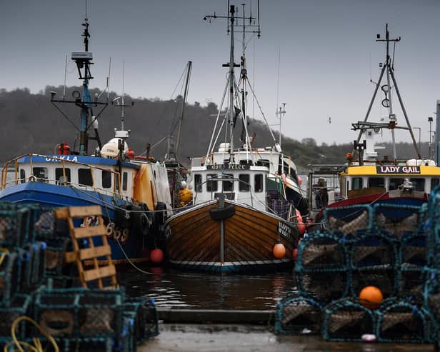 Campaign groups have stepped up pressure on their demands for a rollback on highly protected marine areas ahead of a statement by the Scottish Government today (pic: Jeff J Mitchell)