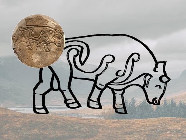 The Burghead Bulls are a group of Pictish carvings that were found at Burghead Fort in Moray. As with many Pictish symbols depicting animals it is unclear if it had an intended meaning. Some scholars suggest that the bull symbol would adorn ramparts of the Pictish fort at Burghead on the coast in Moray. The bull itself was a symbol that represented strength and fertility.