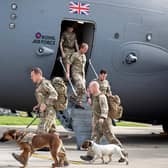 Military personnel and military working dogsarrive back in the UK from Afghanistan