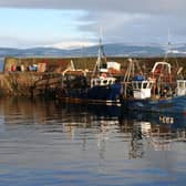 Campaigners have said ministers must halt their approach to licensing fishing after a court deemed a decision by the Scottish Government to vary fishing licenses for vessels using methods believed to be harmful to marine life was branded unlawful by a judge (pic: Fintastque)