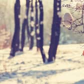 The start of winter is marked by two different dates - a meteorological and an astronomical date (Photo: Shutterstock)
