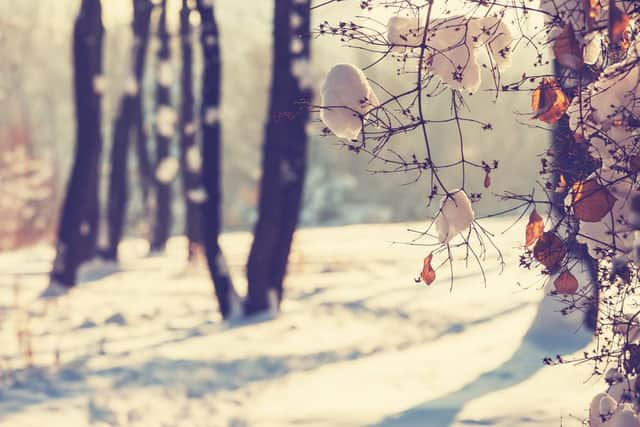 The start of winter is marked by two different dates - a meteorological and an astronomical date (Photo: Shutterstock)