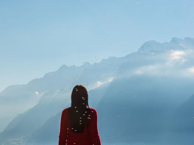 WIth a wingspan of just 2-3mm, it only takes a wind speed of 6mph to force the midges into retreat. Try to find somewhere more exposed to camp or eat a picnic and the breeze could well blow your worries away.