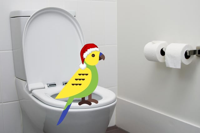 Or is it a bird doing a tur... Well, you get the idea. For those that didn't know "cludgie" is a Scots word that refers to the toilet or the lavatory in general.