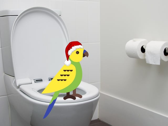 Or is it a bird doing a tur... Well, you get the idea. For those that didn't know "cludgie" is a Scots word that refers to the toilet or the lavatory in general.