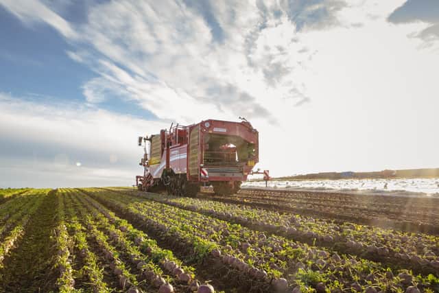 ESG Drysdale is an established supplier to major UK supermarkets and operates production and storage facilities in the Scottish Borders as well as in Fife and Angus.