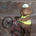 GoFibre's Digby the Gopher mascot showcasing his skills at Cupar skate park thanks to lightning-fast broadband speeds that Copenhagen would consider swapping their bikes for