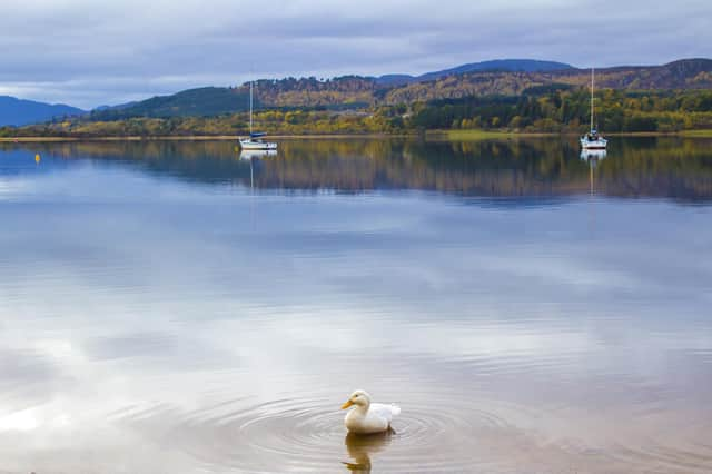 Loch Morlich