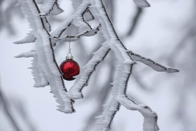 A Christmas tree ball hangs on the branches of a tree covered with hoar frost and snow. People have been warned to avoid meetings with others this week if they want to have a normal Christmas dinner. Picture: Thomas Warnack/dpa via AP