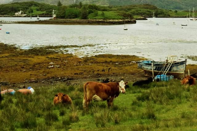 Chaidh droch bhreithneachadh a dhèanamh air mar a tha Coimisean na Croitearachd ag obrachadh.