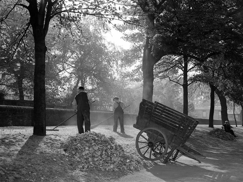 In the Autumns of the 1950s, in the absence of leaf blowers and other gadgetry. piles of fallen leaves were swept up and rolled away in carts in a fairly labour-intensive process. This picture was taken in September 1959.