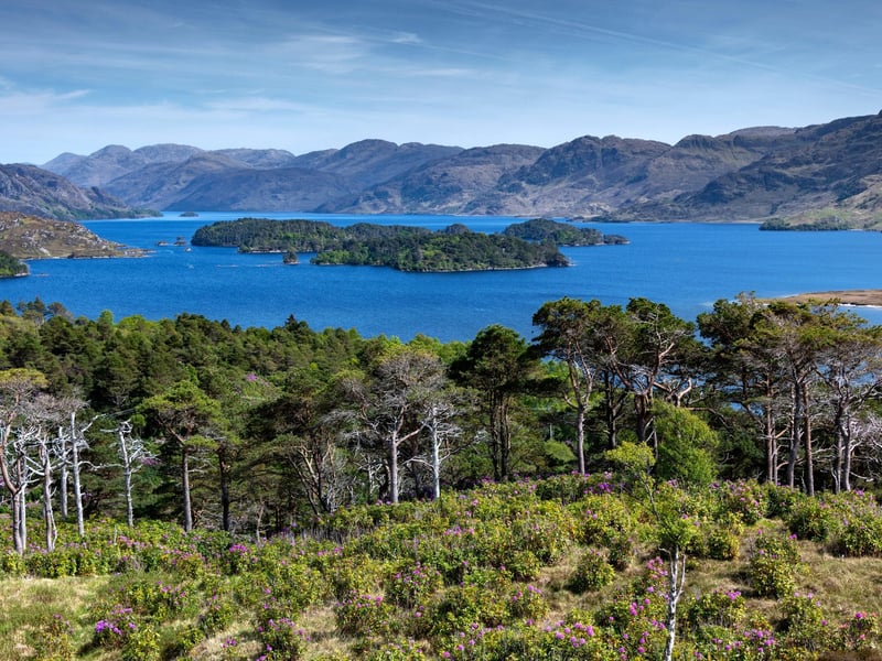 Loch Morar is the fifth largest loch by surface area in the country. It is situated in Lochaber in the Highlands. It is said to be the home of Morag (a ‘loch monster’ who is related to the Loch Ness monster).