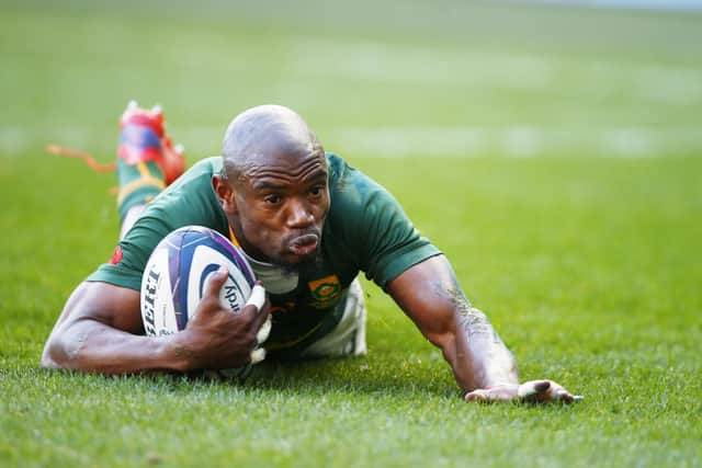 Makazole Mapimpi showed the Springboks didn't miss the injured Cheslin Kolbe with the winger bagging two tries.