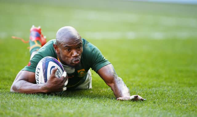 Makazole Mapimpi showed the Springboks didn't miss the injured Cheslin Kolbe with the winger bagging two tries.