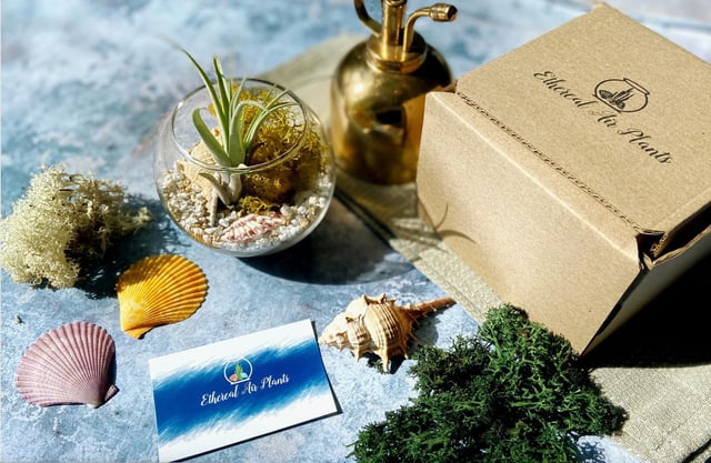 Forge & Foliage, set to open in Marchmont this Spring, will see owners Natalie and Natasha expand and refresh their range of crafty plant kits sold at online business The Crafting Cartel to offer to fellow plant lovers in store