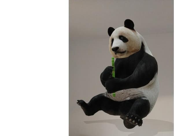 Google 3d Animals How You Can See Ar Tigers Dogs Lions And Penguins On Google The Scotsman Google 3d Animals How You Can See Ar Tigers Dogs Lions And Penguins On Google The Scotsman